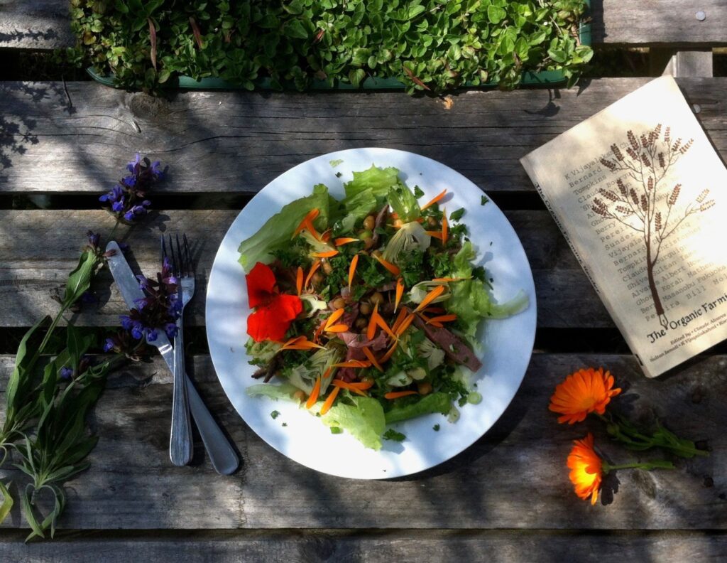 Organic meal at Fair Harvest on Yoga Retreat from Perth
