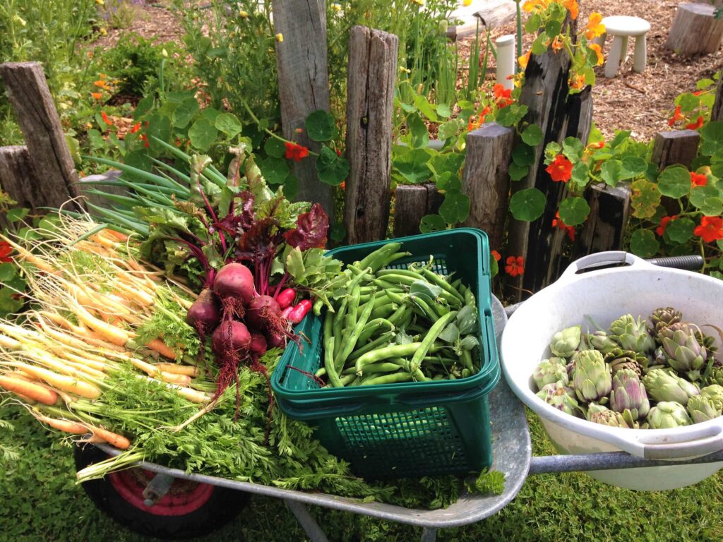 Fair Harvest produce