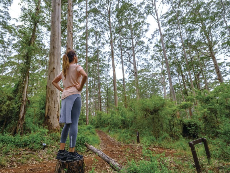 Gloucester National Park, near Pemberton