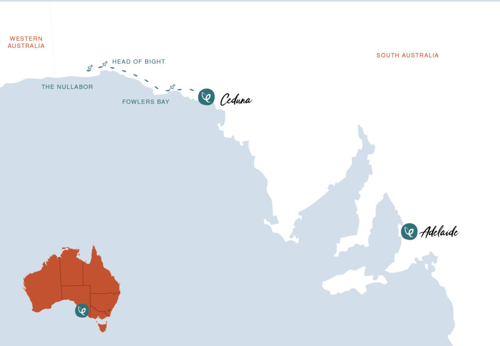 Map for 3 day whale watching tour 