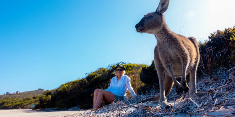 Meet a friendly kangaroo at Lucky Bay, Esperance, WA.