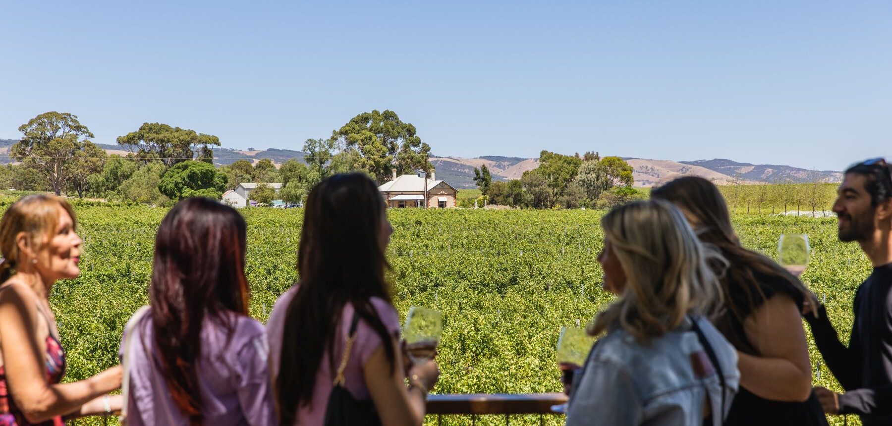 Group looking out to Vineyard at Wirra Wirra