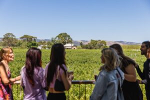 Group looking out to Vineyard at Wirra Wirra
