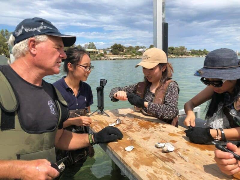 Oyster Farm Tours Untamed Escapes