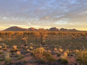 Adelaide to Alice Springs Tour