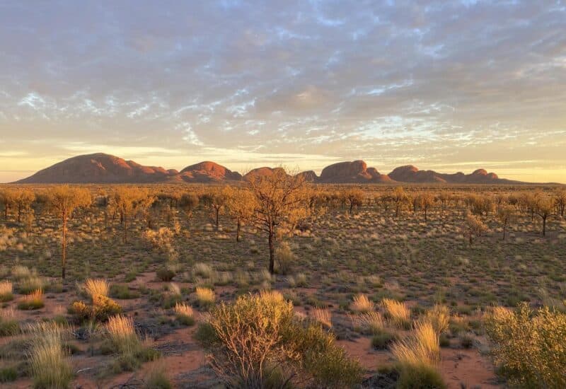 Adelaide to Alice Springs Tour
