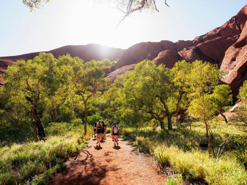 Adelaide to Alice Springs Tour - Uluru base walk