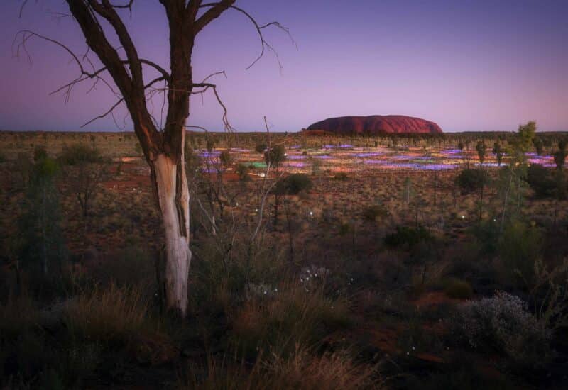 Field Of Light at Uluru - Voyages Ayers Rock Resort.